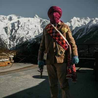 BringsSarcasm's profile picture. 