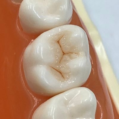 rF6fDhJsds4775's profile picture. 