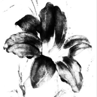 layannalharbii's profile picture. ❣️