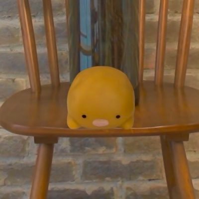 nico_SJkanojo's profile picture. 成城彼女（@seijokanojo）11期裏方になりましたよろしく！裏方になったからには演者のみんなの練習風景・日常などを投稿していきたい、、！！ これからも応援よろしくお願いします✨