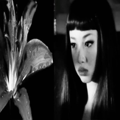 ailithxx's profile picture. one day I’ll grow wings