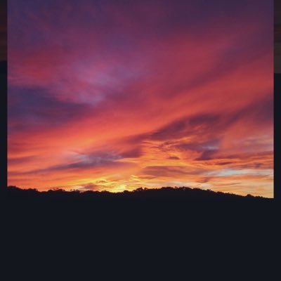 blacksheep_9999's profile picture. 執事(パシリ？)やらせてもらってます🐏