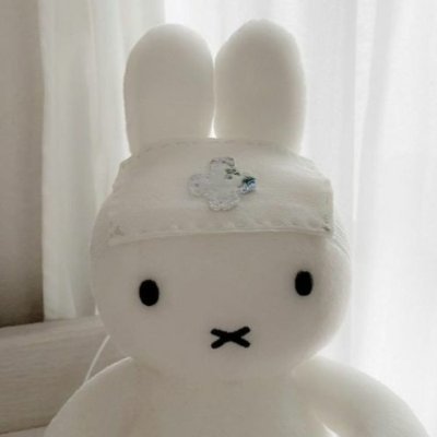 selcookiex's profile picture. web dev & reverse engineer