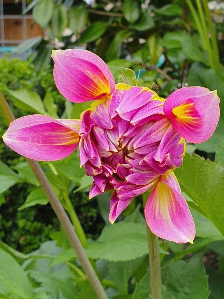 _arthurnicholls's profile picture. You don’t need to see the whole staircase just take the first step 💐 🪐 💼 🌟