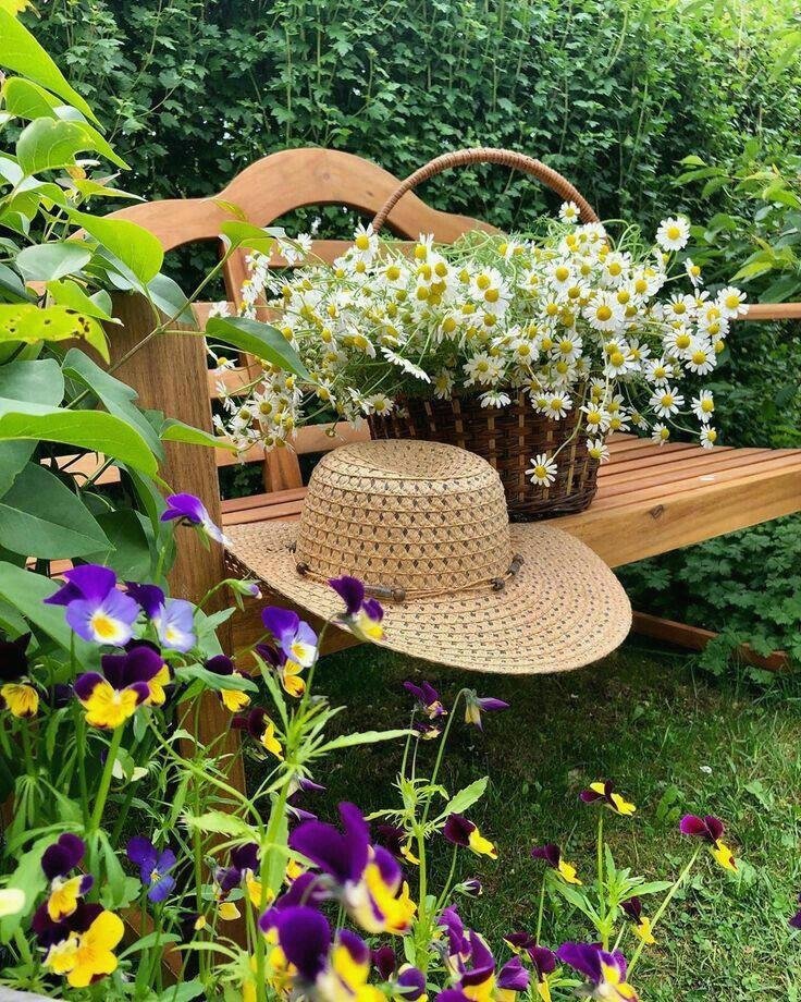 MariliaQuinho's profile picture. Stay positive work hard and be kind to others 🌂 🌹 🔥 🌂 👍