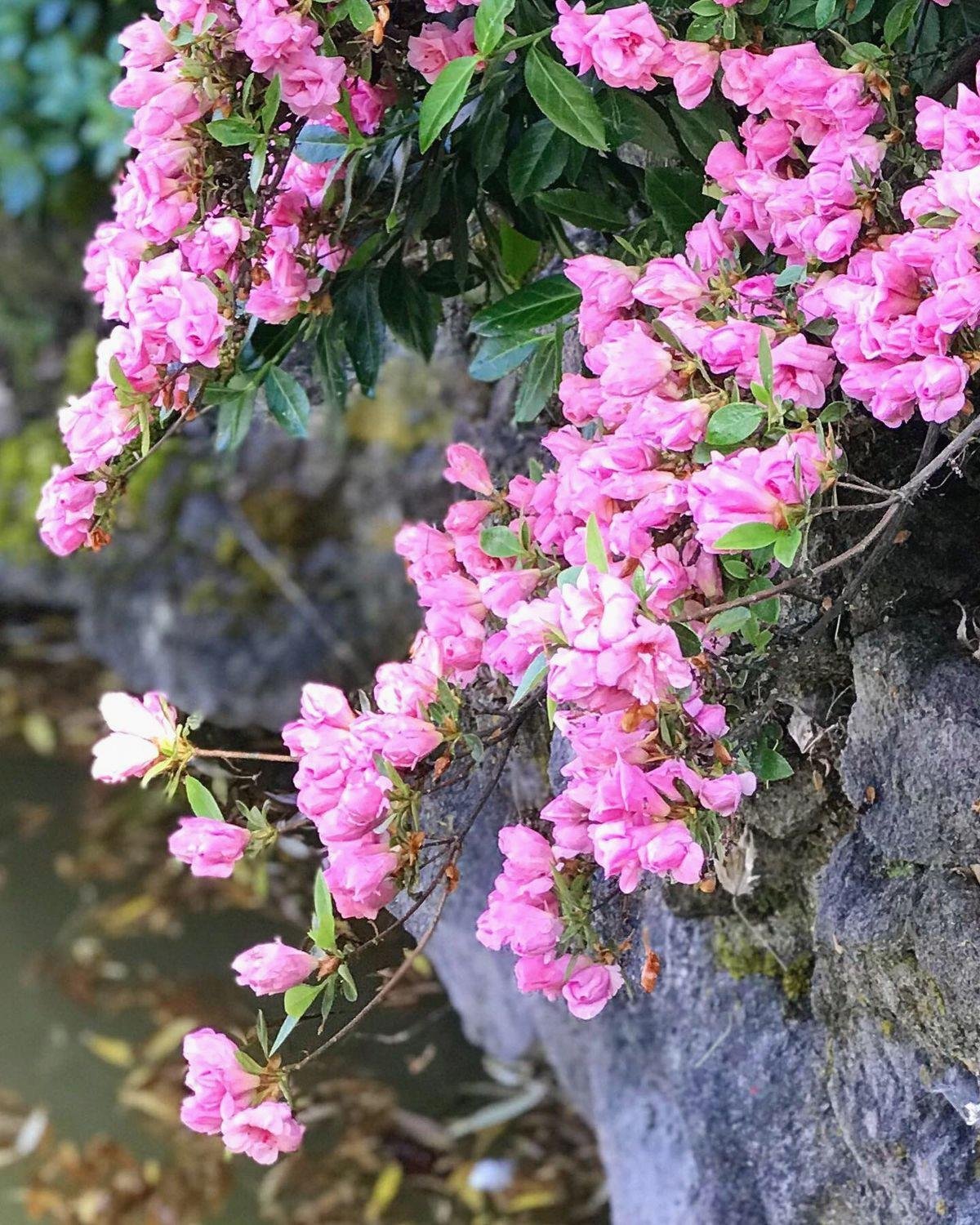 GuiMe_Brito's profile picture. Bravery is not the absence of fear it’s the strength to keep moving forward 💼 🎈