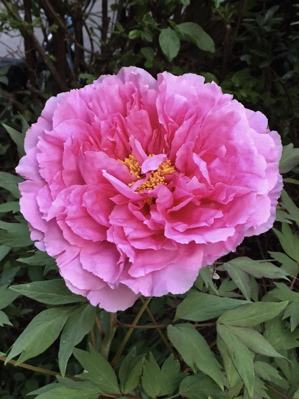 goutam212257193's profile picture. Every setback is a setup for a comeback 🍂 💰 🔥 🍀 🍂