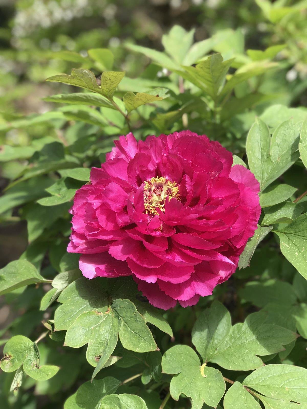 Ednann18's profile picture. When you focus on the good the good gets better 🎉 🌐 🎈 🪐