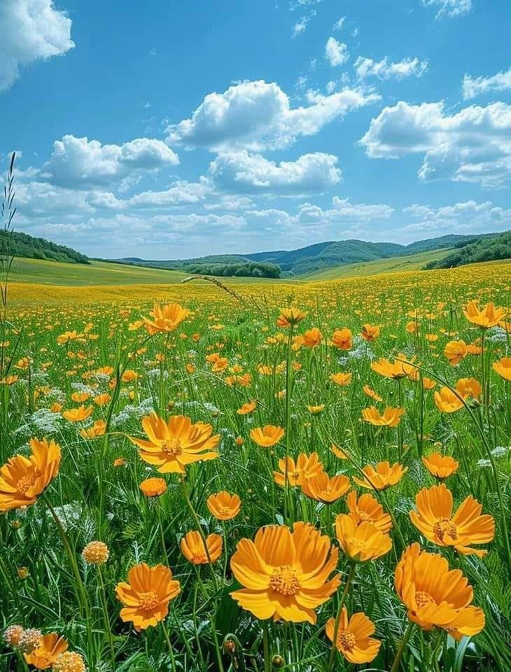 maiarablue30's profile picture. Don’t just survive thrive 💼 🌻