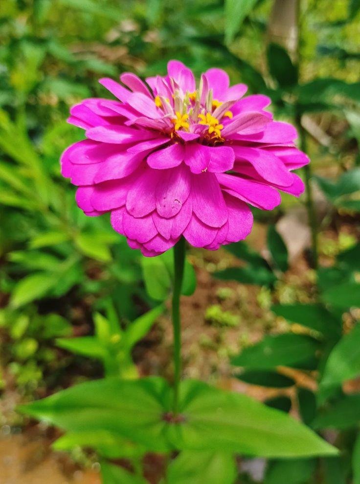 BrunoLucas80153's profile picture. Keep moving forward even when it’s tough 🚀 🚩