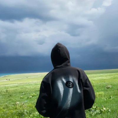 EthonSpectator's profile picture. PhD in CS | Former AI PM at Meta & Google | Sharing insights on AI, robotics, and global innovation.