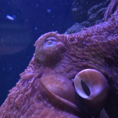 14_rraws's profile picture. lol