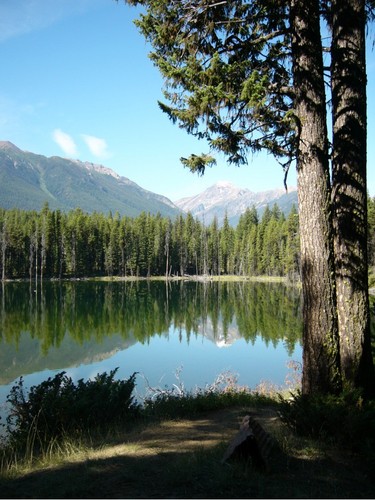 fotosourceinv's profile picture. we print memories - on canvas, mugs, puzzles & more. Check out our huge frame collection Coming soon -custom mattes & frames