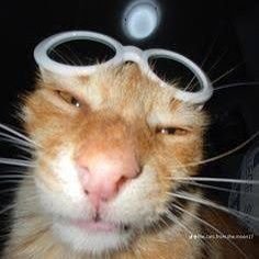 PSwizard00's profile picture. Undergrad | SWE | Neovim Config Engineer | Arch btw