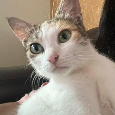 ShivPratap2207's profile picture. Currently in a critical situation