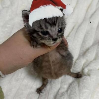 heartsticky_'s profile picture. 23 | law graduate | In hoc signo vinces ☦️