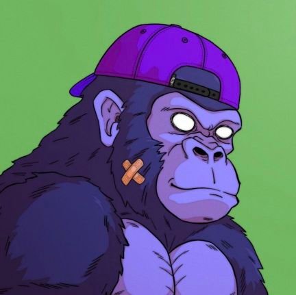 dswamii's profile picture. Trad3r Buzz