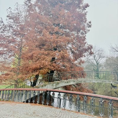 yashJ47549's profile picture. 