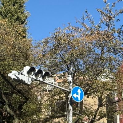 ToyosatoJack's profile picture. 鉄道と広島東洋モビリーデイズのファン 表現規制起因よる戦争開戦は許しません