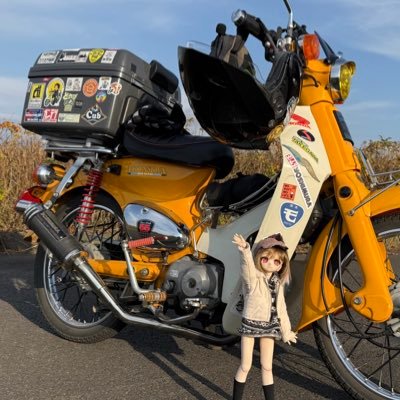 yamadasufi's profile picture. ドールと猫メイン垢気づいたらドール歴9年目ドール関係でのフォローフォロバとなります車バイクも挟みます。ハイゼット、CBR、C50カブ、アクティ主言葉足らず有り。道内あちこち走ってます！画像の無断転載禁止 Prohibition of unauthorized use of うちの子紹介固定ポストツリーにて！