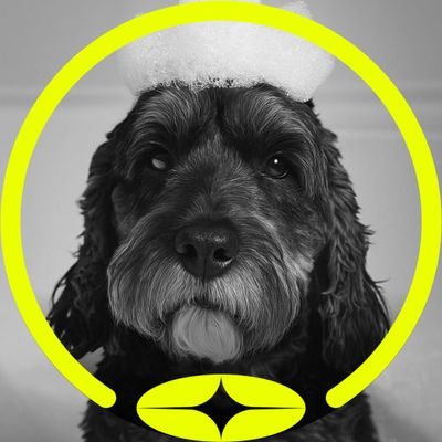 JoshEmlyn's profile picture. 