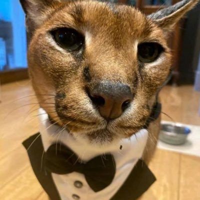 Torak_34's profile picture. 