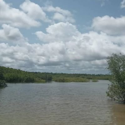 Alhamduliha01's profile picture. Well as you can see I’m from the Gambia 🇬🇲 it’s a small country and peaceful we are having different traditions and cultures animals beach 🏖️ site?