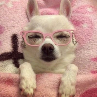 _zhangjianhao's profile picture. 정우없으면하루도살아가지못하는여자