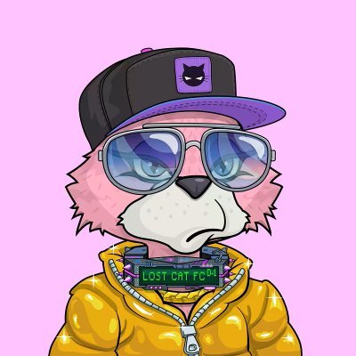 Cryptomind2024's profile picture. Degen!!! DYOR