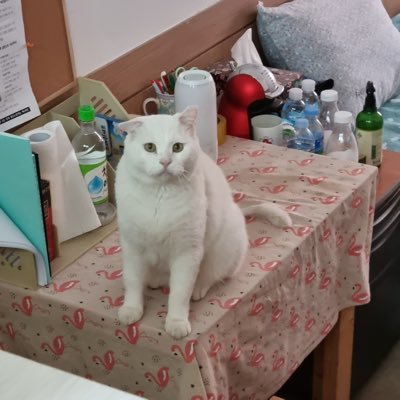 choejun73375741's profile picture. 