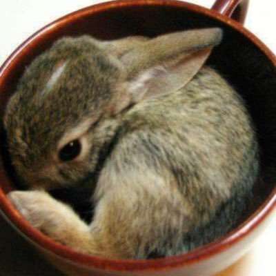 ifelthefall's profile picture. 