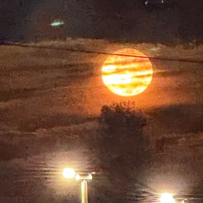 ApeCrusader12's profile picture. https://t.co/1LqeJ1B5M6