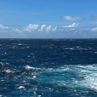 saalsh95's profile picture. لا اله الا الله 🩷