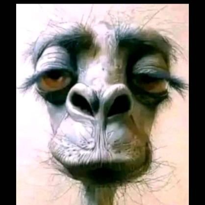 Void0765's profile picture. crypto farmer gnoma (🧙‍♂️,🧙‍♂️) 🧙‍♂️,🛠️
 Anomage ⛺  (🧙,🧙)