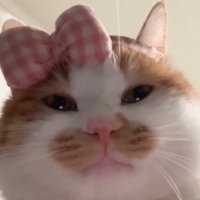 ols (@o7live_) 's Twitter Profile Photo