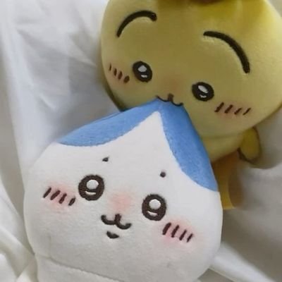 d_ioralop's profile picture. 얘들아 찾아와줘서 고마워