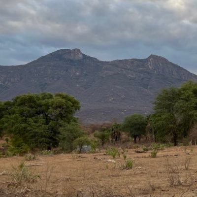 dushime_mucyo's profile picture. 