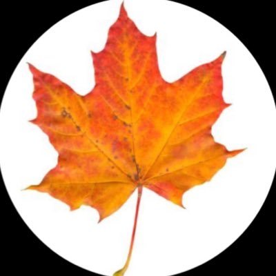 HenryFfH's profile picture. 