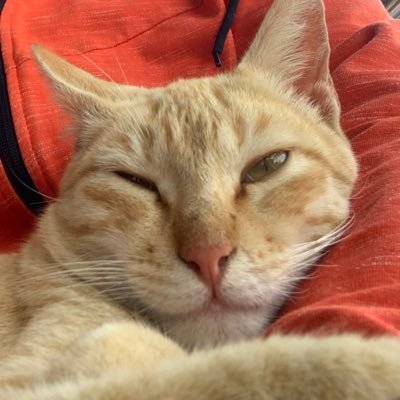 Delta_romeo95's profile picture. I post what you think but won’t say