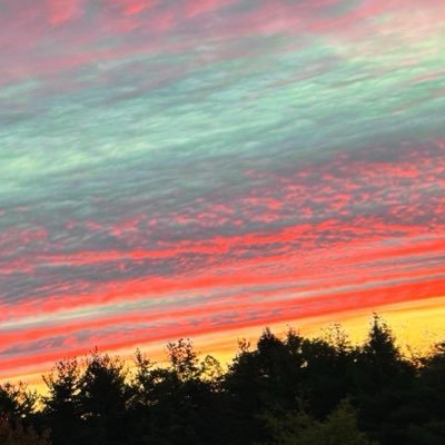 bwellchiro's profile picture. be well