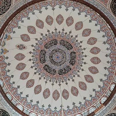 ali216703650332's profile picture. .