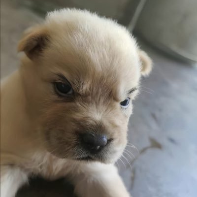 Thanpitcha76512's profile picture. 