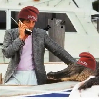 MVNationalist's profile picture. MAGA