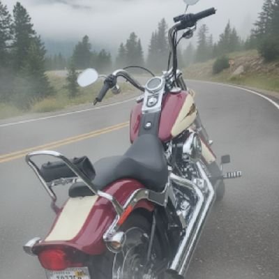 harp609's profile picture. ~ music 🎵🎶 is flexible ~
feel it ~     .

NO DM's ( please ) 🇺🇸