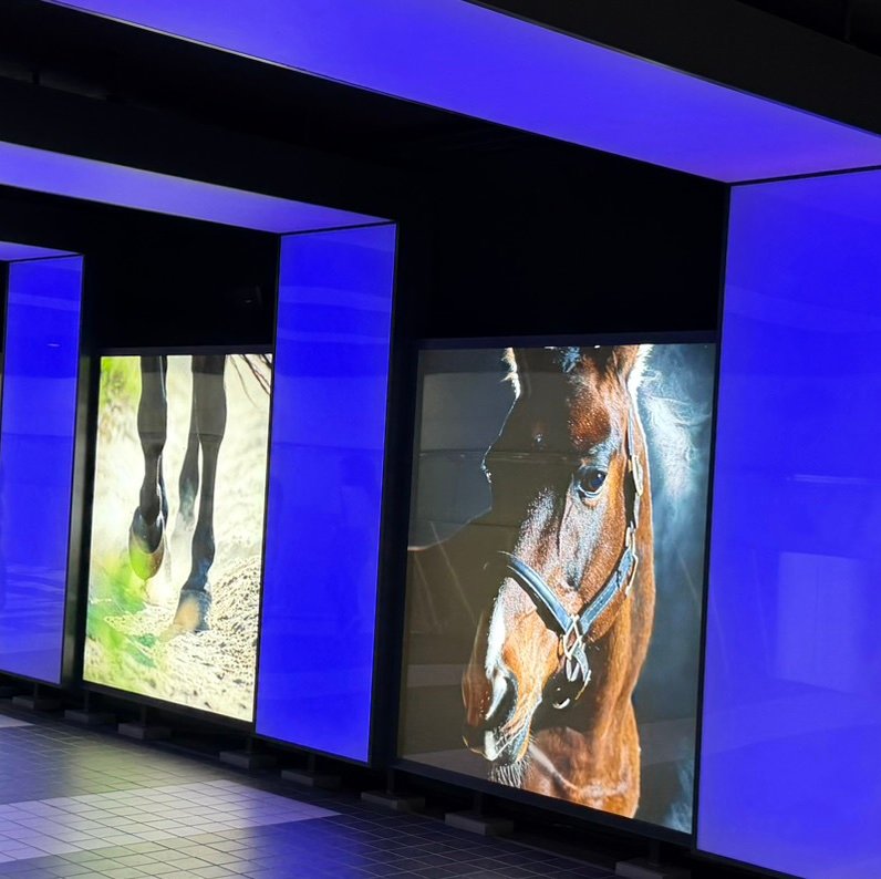 34VSp's profile picture. economy😶✖️JRA🐎✖️NISA💰✖️travel✈️✖️BNR34🚗
にて人生を豊かにする事を目指し
矛盾の複利効果✨を武器にし飛躍します‼️