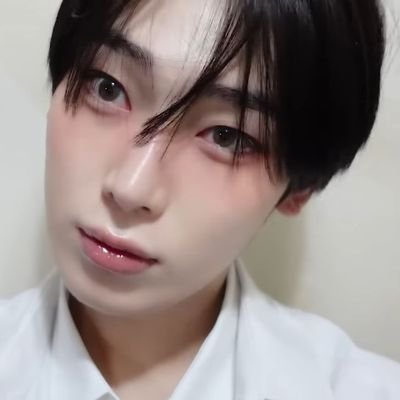 fluttershynoo's profile picture. 