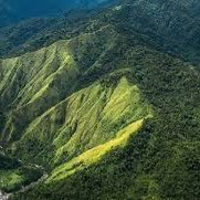 SierraMadreeee's profile picture. ⛰️⛰️⛰️