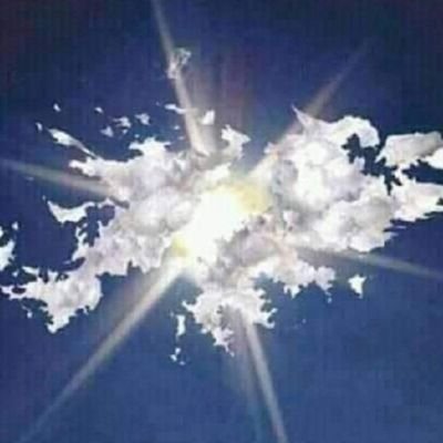 Maria Laura Morales Profile