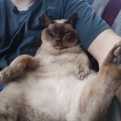 Miilky's profile picture. 