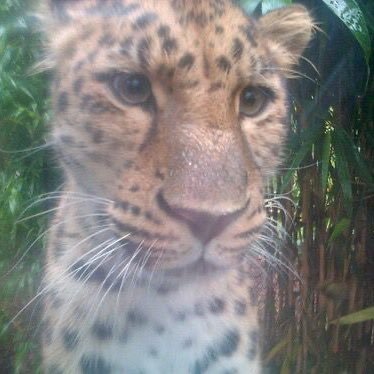 edgyendi's profile picture. Life and peace and books and neurons lighting up inside a slightly messed up 20 year old